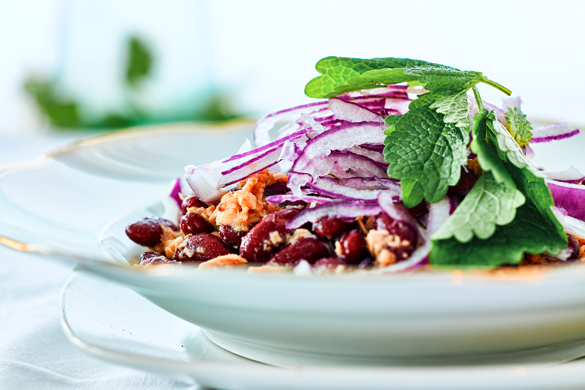 Thunfischsalat mit roten Zwiebeln und Kidneybohnen